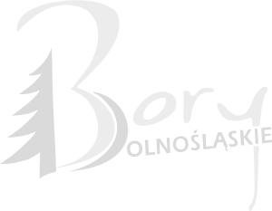 Bory Dolnośląskie